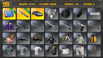 绝地求生（PUBG）[TB126]1段8级（免费版）幽影残魂AWM 保时捷911 aespa女团 保时捷