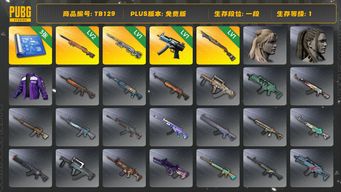 绝地求生（PUBG）[TB129]1段1级（免费版）夜曲M24 烈日灼烧S1897 寒蚀MP5K 幽影残魂AWM