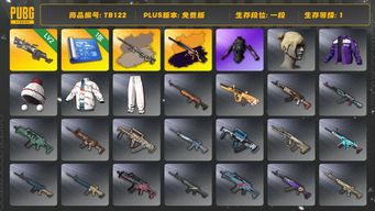 绝地求生（PUBG）[TB122]1段1级（免费版）刻耳柏洛斯M249 发光手臂 丸子头 无信号M4异色 AWM异色