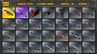 绝地求生（PUBG）[TB123]1段1级（免费版）弥诺陶洛斯AUG