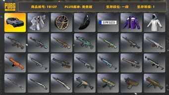 绝地求生（PUBG）[TB127]1段1级（免费版）保时捷卡宴 保时捷
