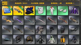 绝地求生（PUBG）[TB121]1段1级（免费版）刻耳柏洛斯M249 夜曲M24异色