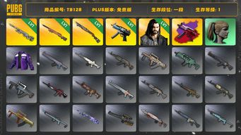 绝地求生（PUBG）[TB128]1段1级（免费版）夜曲M24 小马尾 烈日灼烧S1897 寒蚀MP5K异色 寒蚀MP5K 幽影残魂AWM 多利安