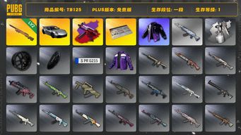 绝地求生（PUBG）[TB125]1段1级（免费版）夜曲M24 保时捷911 寒蚀MP5K异色 aespa女团 保时捷