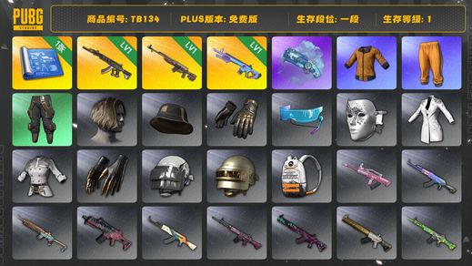 绝地求生（PUBG）[TB134]  1段1级（免费版）黄东 时光SKS 魔咒MK12 蓝色魔法迷雾 - M79 妖魔ACE 拉风龙套装 小叮当套装 烟枪