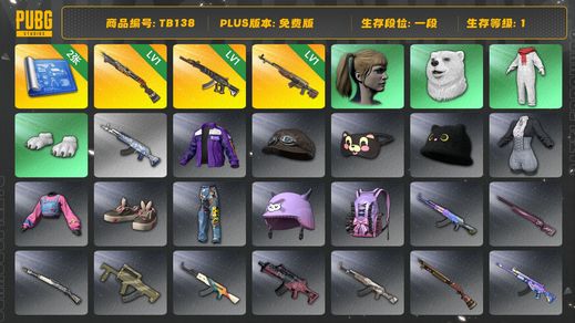 绝地求生（PUBG）[TB138]1段1级（免费版）时光SKS 小马尾 烈日灼烧S1897 妖魔ACE