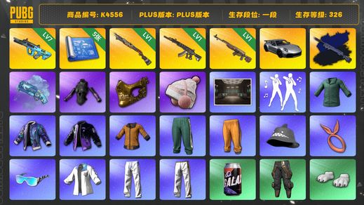 绝地求生（PUBG）[K4556]一段362级  信誉3  7级权志龙  1级烈日  1级妖魔  1级时光  夜曲异色  烟枪  5图纸  911  绿东  黄东  拉风龙  小马尾  金面  滑雪帽  发光手  白熊脚