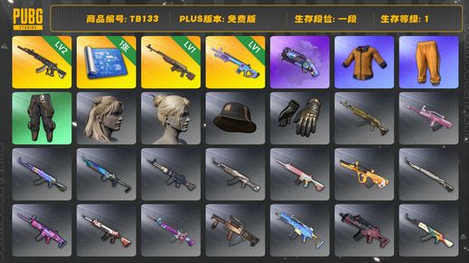 绝地求生（PUBG）[TB133]1段1级（免费版）黄东 时光SKS 魔咒MK12 紫色魔法迷雾 - M79 妖魔ACE 拉风龙套装 小叮当套装 烟枪