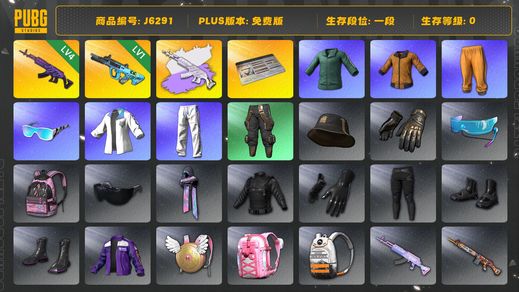 绝地求生（PUBG）四级美杜莎带白异色 一级权志龙aug 小绿东 黄东 星魂套装 拉风龙套装 改名卡