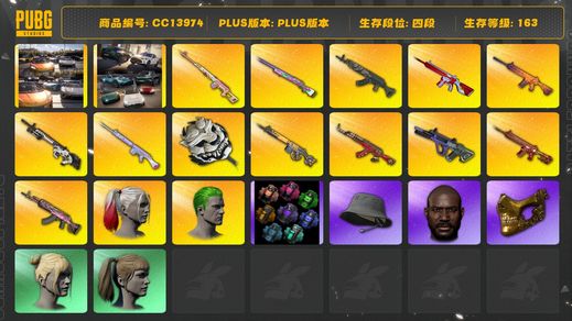 绝地求生（PUBG）[CC13974]CC13974/可排位/4段/163级/改名卡/1张图纸/烟雾弹/迈凯伦/阿斯顿马丁跑车/小丑女/小丑男/10级火麒麟/6级齿轮大炮/5级朱雀M4/1级青龙/1级霓虹AUG/1级无信号M4/1级南瓜M4/1级恶魔ACE/1级圣诞ak/1级赛博MK12/1级德拉贡/1级玩偶大炮/1级彩虹M24/1级白虎锅/圣诞ak异色/拉风龙套装/pro套装/瑞恩熊/金面/黑鬼/双马尾/丸子头/脏