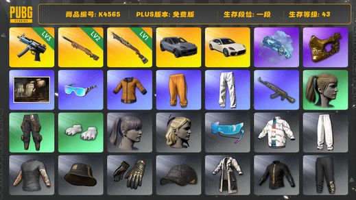 绝地求生（PUBG）[K4565]一段43级  信誉2  3级寒蚀  2级夜曲  1级烈日  烟枪  卡宴  帕梅  黄东  星魂  拉风龙  金面  白熊脚