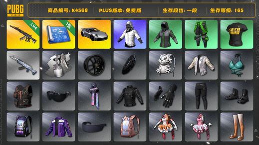 绝地求生（PUBG）[K4568]1段165级（未开通排位） 信誉2  4级妖魔 1图纸 保时捷911 白战神 