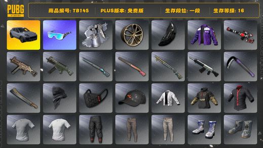 绝地求生（PUBG）[TB145]1段1级（免费版）保时捷卡宴 星魂虎虎生威大礼包 保时捷