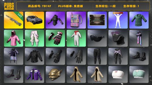 绝地求生（PUBG）[TB147]1段1级（免费版）保时捷卡宴 电磁包 发光手臂 小绿东 幽影残魂AWM 保时捷
