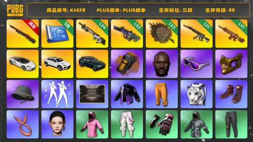 绝地求生（PUBG）[K4578]3段69级 信誉3 10级孙悟空 4级赛博 2级霓虹 2级唐三藏 1级妖魔 1级朱雀 5图纸 烟雾弹 迈凯伦 兰博suv 马丁suv 黑鬼 金面 滑雪镜 小马尾 丸子头 ningning 