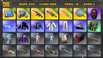 绝地求生（PUBG）美杜莎+玩偶+大菠萝+塞壬 黑鬼 小马尾 4图纸