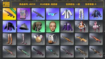 绝地求生（PUBG）3级美杜莎+电磁包+小马尾(账号纯数字)