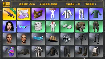 绝地求生（PUBG）小马尾 美杜莎762 美杜莎762异色 金面 小绿东 aespa女团 星魂虎虎生威大礼包 拉风龙套装 小叮当套装