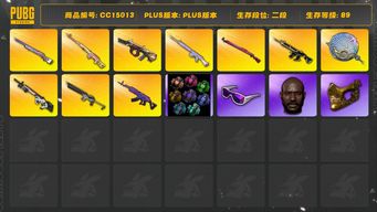 绝地求生（PUBG）[CC15013]CC15013/可排位/2段/89级/胜利密室/1张图纸/烟雾弹/9级猪八戒M4/3级午夜惊魂98k/2级彩虹M24/2级塞壬平底锅/1级美杜莎/1级弥诺陶洛斯AUG/1级赛博MK12/1级德拉贡/1级玩偶大炮/1级沙悟净mini/猪八戒M4异色/午夜惊魂98k异色/电磁背包/绿东/卧底套装/白战神/圣诞套装/滑雪镜/金面/黑鬼/白熊/青海摇