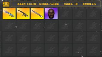 绝地求生（PUBG）[CC15003]CC15003/可排位/1段/234级/1张图纸/卡宴/2级彩虹M24/1级妖魔ACE/1级魔咒MK12/绿东/黑鬼/婚纱头