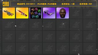 绝地求生（PUBG）[CC15011]CC15011/可排位/1段/357级/烟雾弹/5级爆裂弹珠AUG/3级无信号M4/圣诞套装/小战神/粉战神/滑雪镜/滑雪帽/黑鬼/