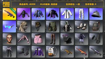 绝地求生（PUBG）5级美杜莎+发光手+PCS2全套