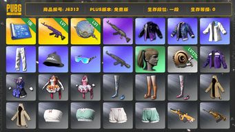 绝地求生（PUBG）美杜莎+塞壬+1210蜗牛币可换烟弹 小马尾