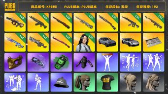 绝地求生（PUBG）[K4585]5段192级 信誉5 5级牛头 4级青龙 2级孙悟空 1级AWM 1级烈日 1级妖魔 1级时光 1级魔咒 1级大菠萝 1级午夜 1级瀚娜 改名卡 保时捷911+卡宴  烟弹烟枪 