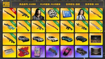 绝地求生（PUBG）[K4588]四段455级  信誉5  10级孙悟空  8级青龙  1级夜曲  1级权志龙+异色  1级烈日  1级妖魔  1级午夜  1级猪八戒  1级小兔  1级玩偶  1级玄武  2级白虎  卡宴  911 帕梅  双马丁  烟枪烟弹  瀚娜  4级多利安  白战神  悲喜  小马尾  丸子头  权志龙  黑鬼  金面  滑雪镜  滑雪帽  牛角  白熊脚