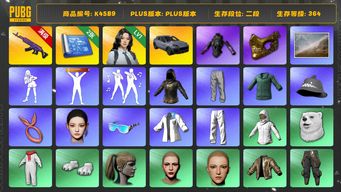 绝地求生（PUBG）[K4589]2段364级 信誉4 10级美杜莎 卡宴 丸子头 小马尾 金面 ningning 