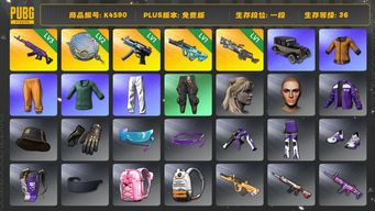 绝地求生（PUBG）[K4590]1段36级 信誉2 3级美杜莎 2级塞壬 1级寒蚀 1级权志龙 1级m249 