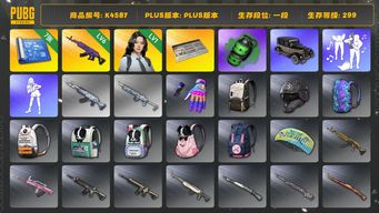 绝地求生（PUBG）[K4587]一段299级  信誉2  6级美杜莎  烟弹  7图纸  瀚娜  改名卡  