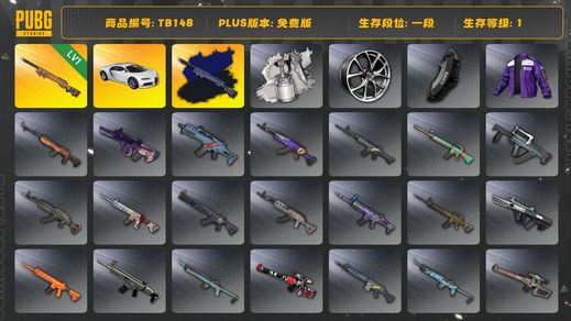 绝地求生（PUBG）[TB148]1段1级（免费版）夜曲M24 夜曲M24异色 布加迪普通跑车 布加迪威龙