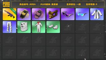 绝地求生（PUBG）美杜莎762 2颗新烟雾弹  星魂套 白熊套 发光手臂  金面 滑雪镜 500G币