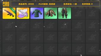 绝地求生（PUBG）2级美杜莎加白异色， pnc2025战术科技套装，拉风龙套装，绿东，权志龙m24，逃亡suv。