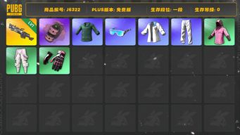 绝地求生（PUBG）大菠萝升级皮+粉色烟雾弹+悲喜男士套+绿东+星魂运动套＋星魂滑雪镜