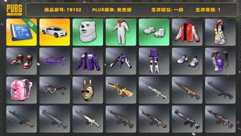 绝地求生（PUBG）[TB152]1段1级（免费版）布加迪普通跑车 布加迪威龙