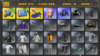 绝地求生（PUBG）[TB155]1段1级（免费版）烈日灼烧S1897异色 aespa女团