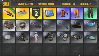 绝地求生（PUBG）4级美杜莎，蜗牛币可换烟雾弹，2张改名卡，橙东套，拉风龙，48枪皮，众多工坊好物，自带3万积分币