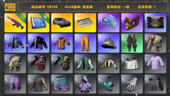 绝地求生（PUBG）[TB159]1段1级（免费版）黄东 保时捷卡宴 美杜莎762 金面 蓝色魔法迷雾 - M79 aespa女团 拉风龙套装 烟枪 保时捷