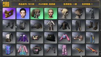 绝地求生（PUBG）[TB158]1段1级（免费版）小马尾 金面 丸子头 aespa女团