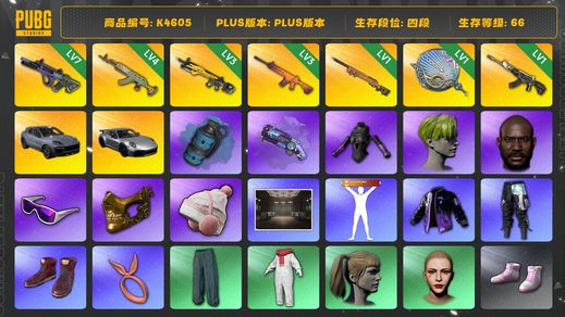 绝地求生（PUBG）[K4605]4段66级 信誉3 7级霓虹 4级水麒麟 3级小兔 3级南瓜 1级夜曲 1级塞壬 1级恶魔 烟弹烟枪 小绿头 黑鬼 金面 滑雪镜 萨芬裤 发光手 卡宴 911