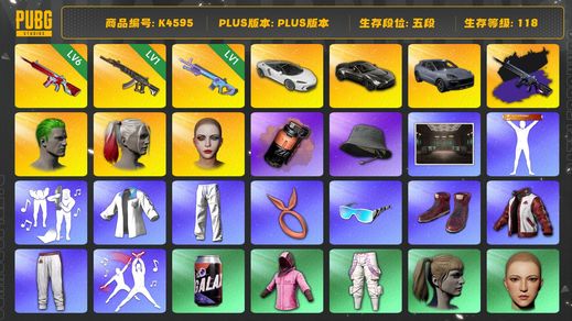 绝地求生（PUBG）[K4595]5段118级 信誉2 6级无信号+异色 1级妖魔 1级魔咒 烟弹 迈凯伦 马丁跑车 保时捷卡宴 悲喜 丑男丑女 小马尾 渔夫帽