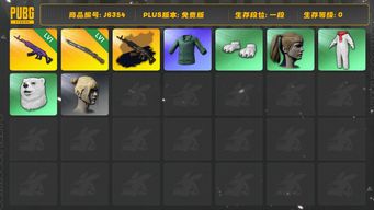 绝地求生（PUBG）1级美杜莎+黑异色，1级猛虎98K。星魂裤，绿东，丸子头，双马尾，白运动，白熊套，