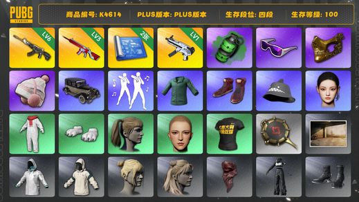 绝地求生（PUBG）[K4614]四段100级  信誉3  6级恶魔  3级无信号  1级无重力  烟弹  2图纸  绿东  小马尾  丸子头  金面  滑雪镜  滑雪帽  白熊脚