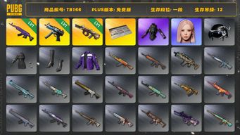 绝地求生（PUBG）[TB166] 1段1级（免费版）美杜莎762 发光手臂 寒蚀MP5K 弥诺陶洛斯AUG aespa女团
