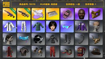 绝地求生（PUBG）[TB175]1段1级（免费版 红信号）女团 黑鬼 金面 烟雾弹 4级白异色美杜莎  牛头 （红信号，可换绑，无法充值，可游戏内兑换cdk）带初始邮箱
