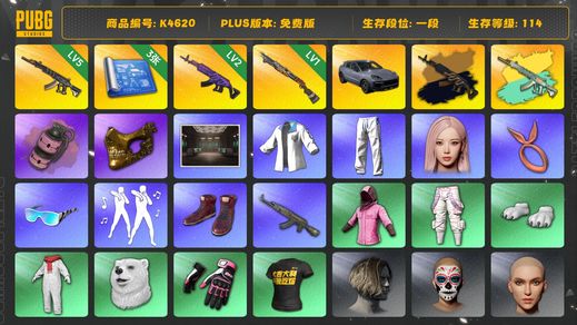 绝地求生（PUBG）[K4620]1段114级 信誉2 5级妖魔+异色 2级美杜莎+异色 1级烈日喷 烟弹 保时捷卡宴 悲喜 白熊脚 女团GISELLE 金面