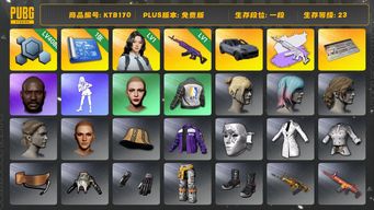 绝地求生（PUBG）[KTB170]保时捷卡宴 美杜莎762 黑鬼 美杜莎762异色 瀚娜 丸子头 aespa女团 保时捷