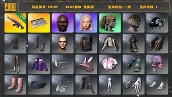 绝地求生（PUBG）[TB167]1段1级（免费版）小马尾 美杜莎762 黑鬼 aespa女团